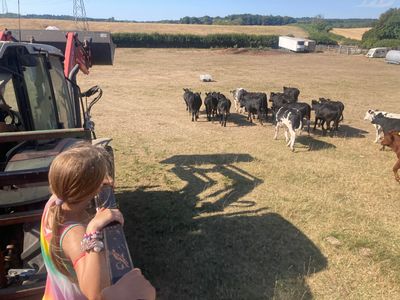 Jubilee Camping in Hampshire 1.jpg
