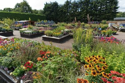 Hillier Garden Centres and Nurseries