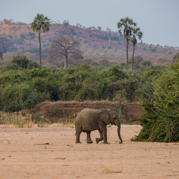 Asilia Africa (50).jpg