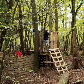 Willow Bushcraft CIC.jpeg