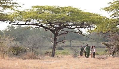 P_Asilia Lodges & Camps_Tanzania_Dar Es Salaam_Roho Ya Selous_Activities_Walking Safari_1.jpg
