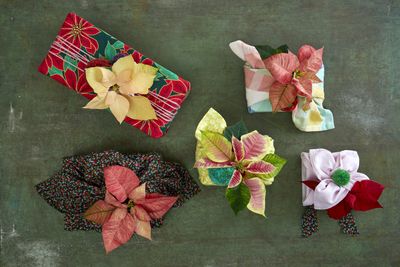 2022_poinsettia_05130_DIY_Reusable_Japanese_Gift_Wrap_06.jpg