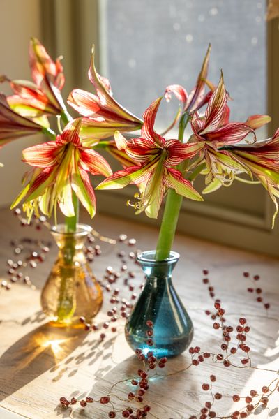 Sophisticated Jewel Vase Collection.jpg