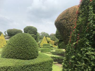 The world's oldest topiary garden, at Levens Hall and Gardens, Cumbria, UK.