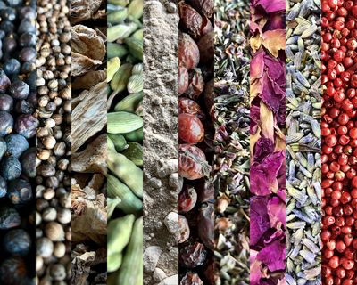 Nantwich Gin botanicals