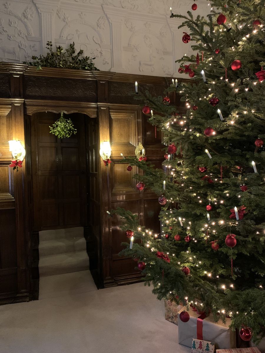 Levens Hall Christmas tree - a backdrop for musical performance at the 2023 Christmas event.