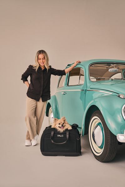 Hendrick Pet Car Seat & Carrier