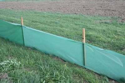 Standard Temporary Newt Fence Image 3.jpg