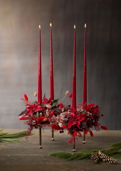 2023_poinsettia_01000_Jewels_of_Nature_12 (1).jpg