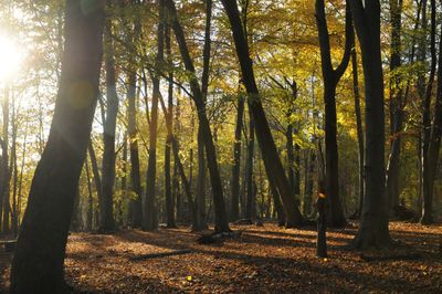 Woodlands.co.uk                                                                                                      