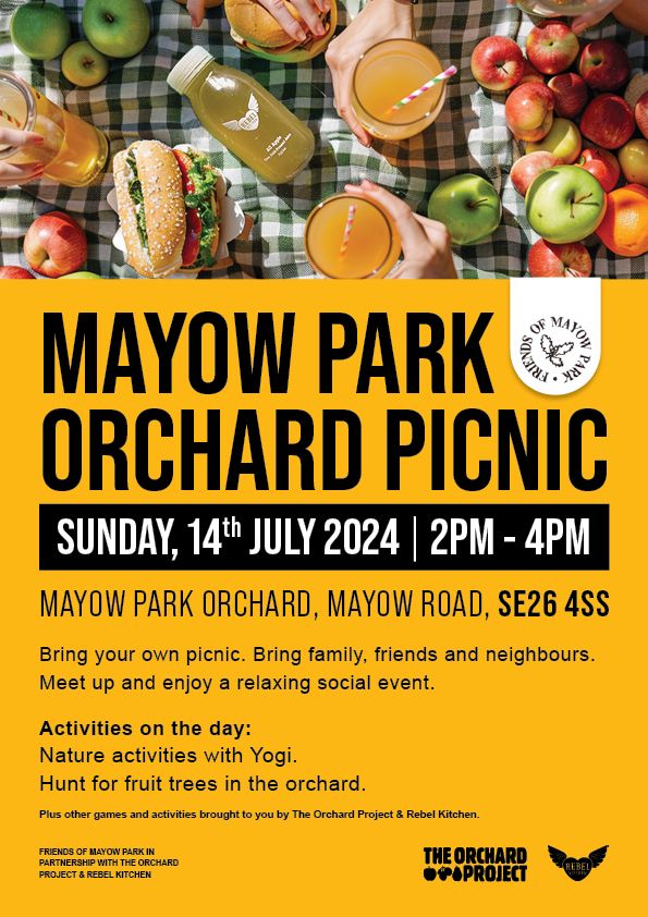 Mayow Park Picnic Poster.jfif