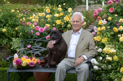 David C H Austin and Bertie.JPG
