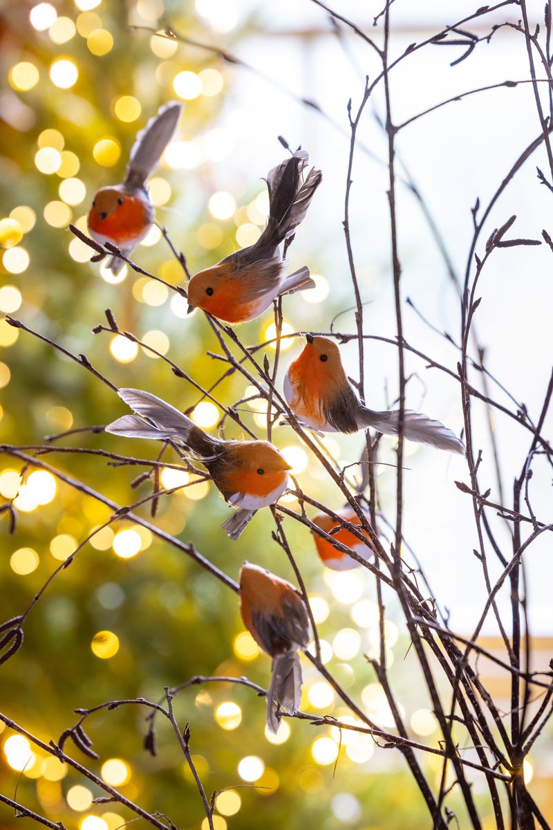 Clip-on Robins, £14.95 (set of 6). 
