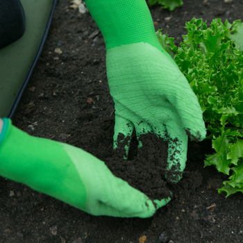 Master Gardener Lite Gloves