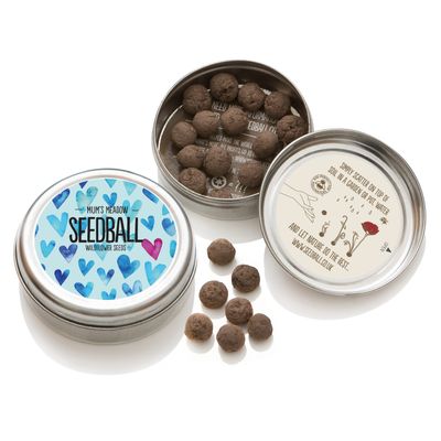 Seedball Mums Meadow Tin.jpg