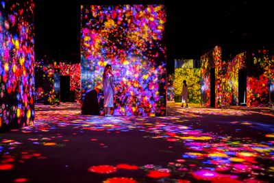 6_Forest of Flowers and People_ Lost, Immersed and Reborn_┬⌐ teamLab.jpg