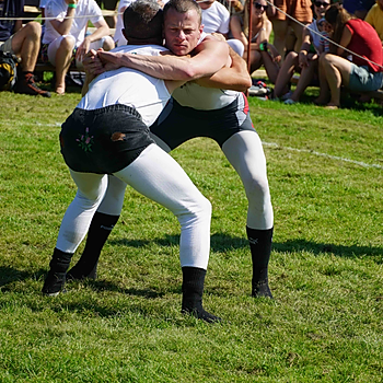 Male Cumberland and Westmorland wrestlers competing at Grasmere Lakeland Sports and Show.