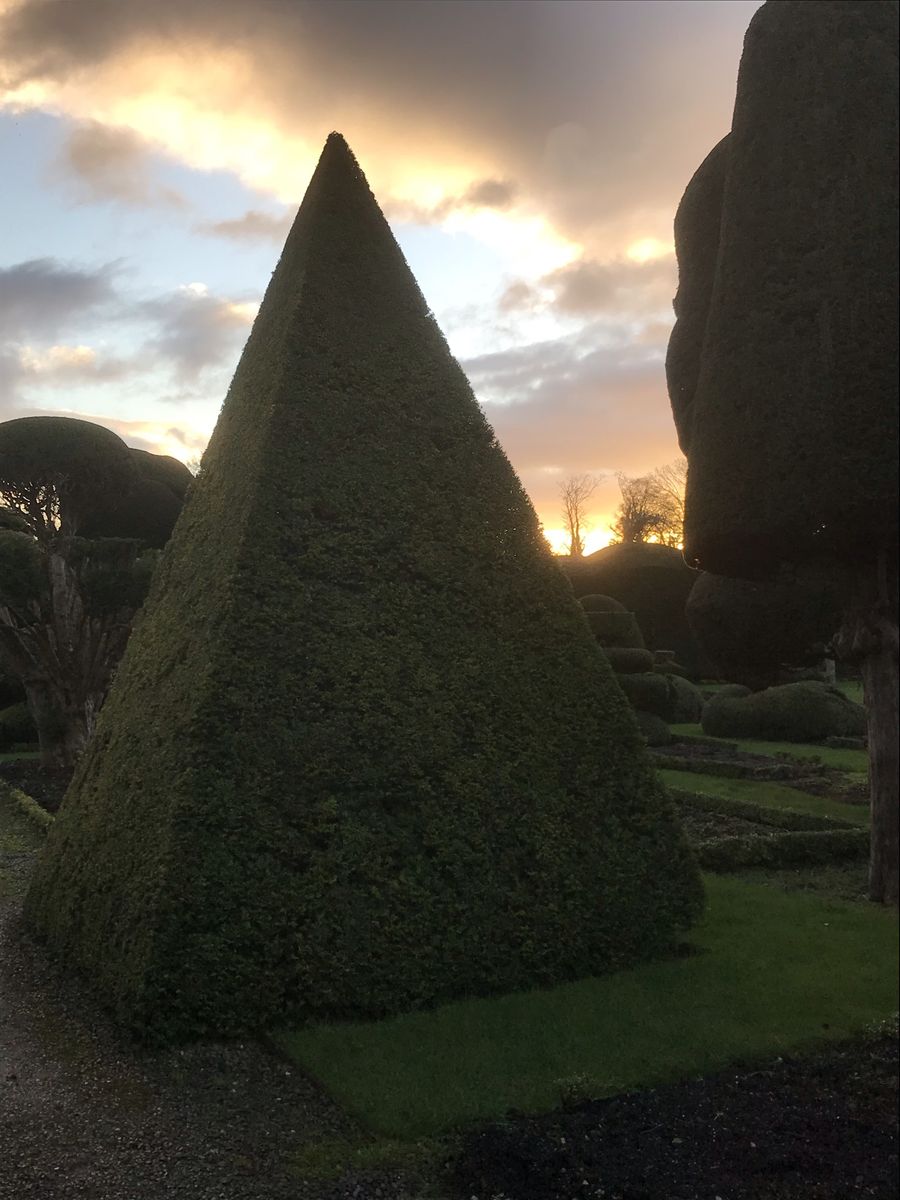 The world's oldest topiary gardens at Levens Hall and Gardens, Cumbria, UK, with winter sun behind.