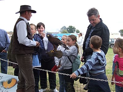 Ridgeside Falconry at Grasmere Lakeland Sports and Show 