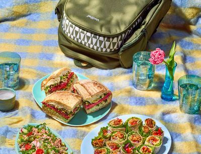 Picnicshoot-NancyAnnePhotography40 (1).jpg