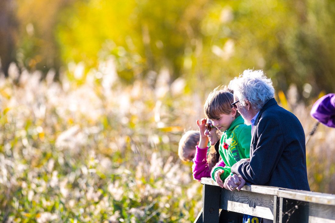 Family birdwatching at WWT London Wetland Centre