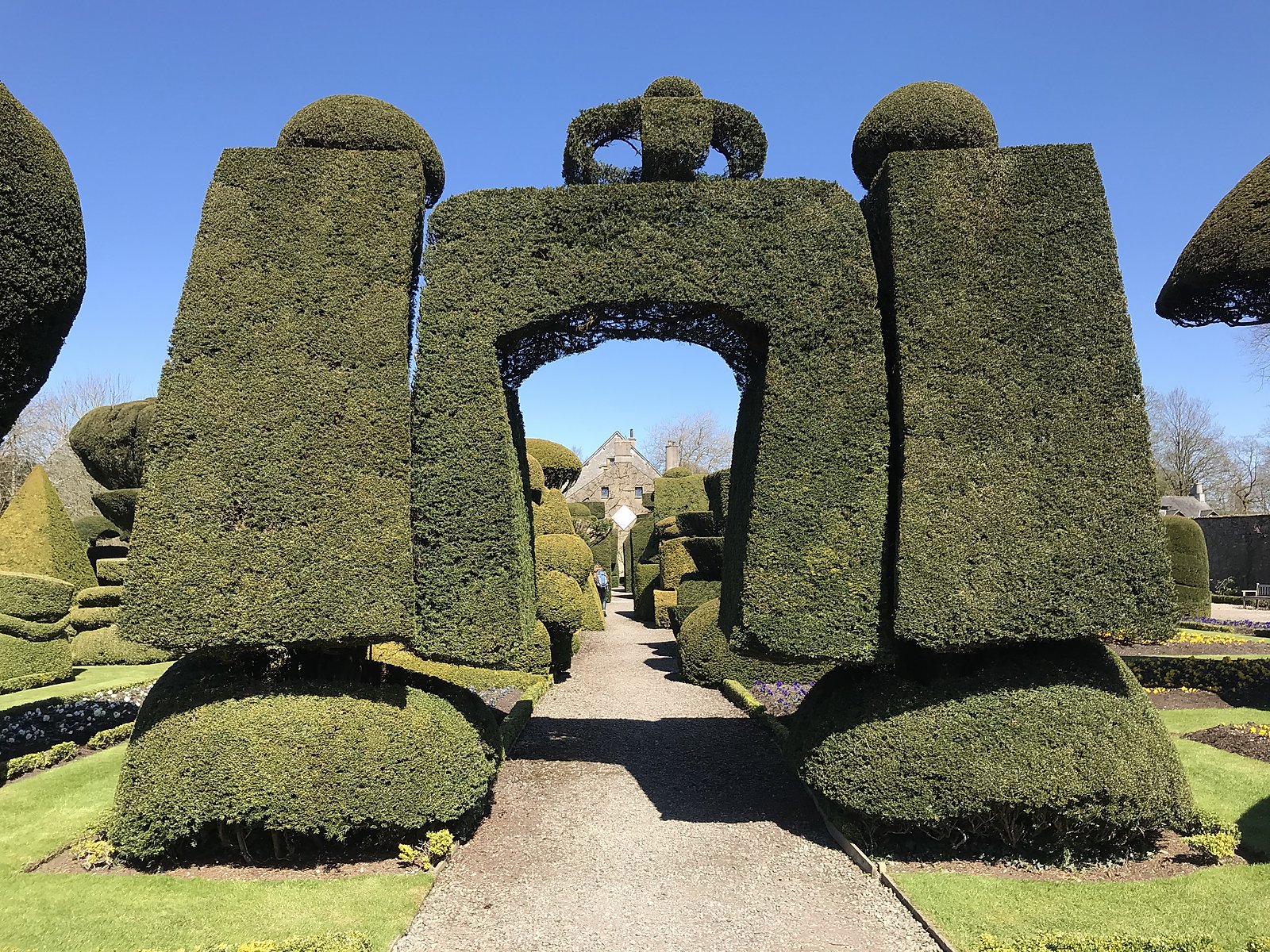 Topiary at Levens Hall, Cumbria, UK