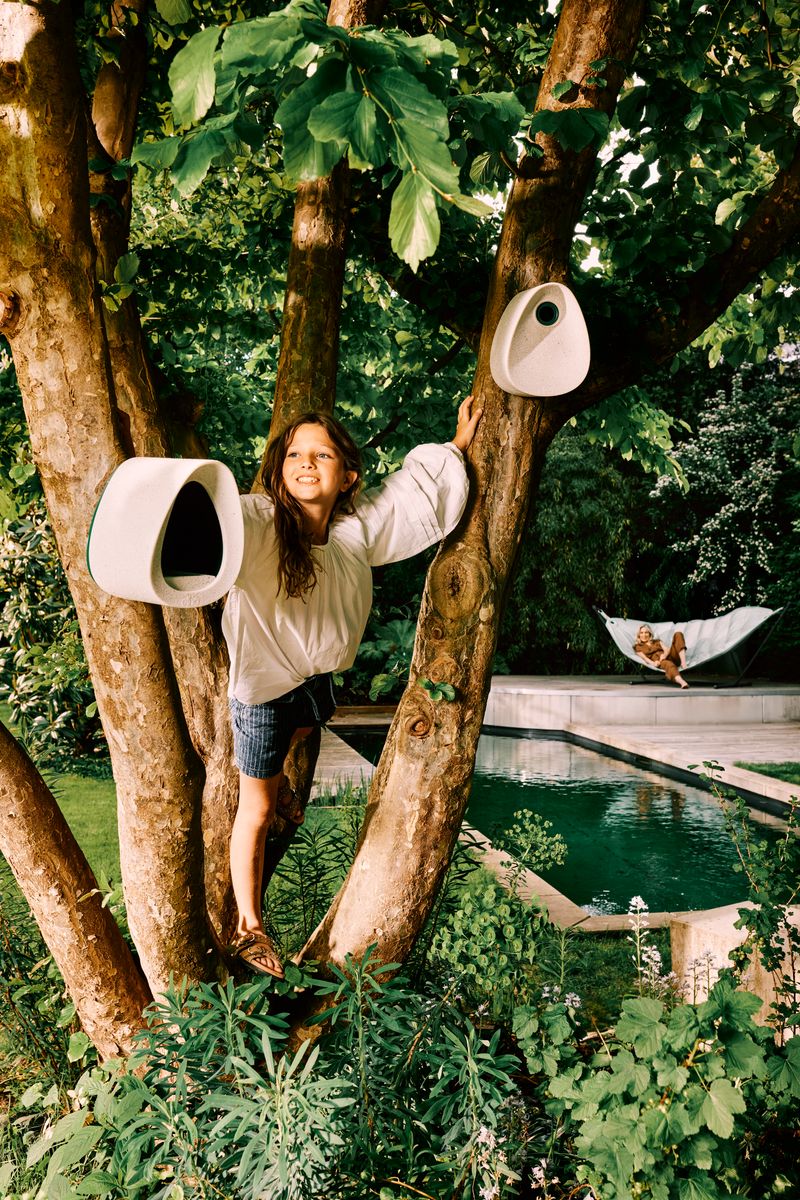 B's essential feeder and bird box