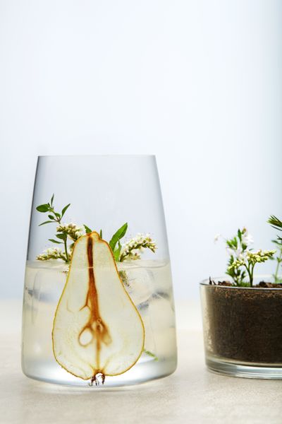 FORESTIS-Food-Gin-Birne.jpg