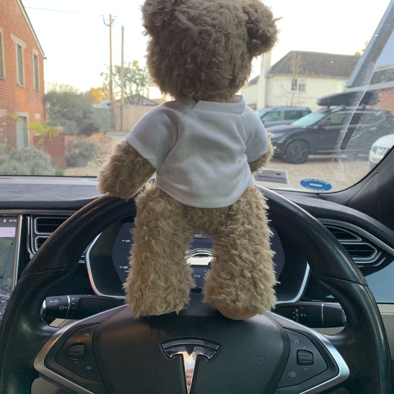 Ted at the wheel