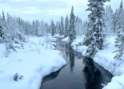 Reclaim Yourself Retreats in Finland snow river.jpg