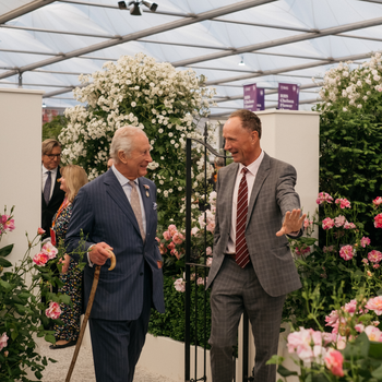 David Austin Roses receive 29th Gold for ‘The King’s Rose’ Showcase at RHS Chelsea Flower Show 2025