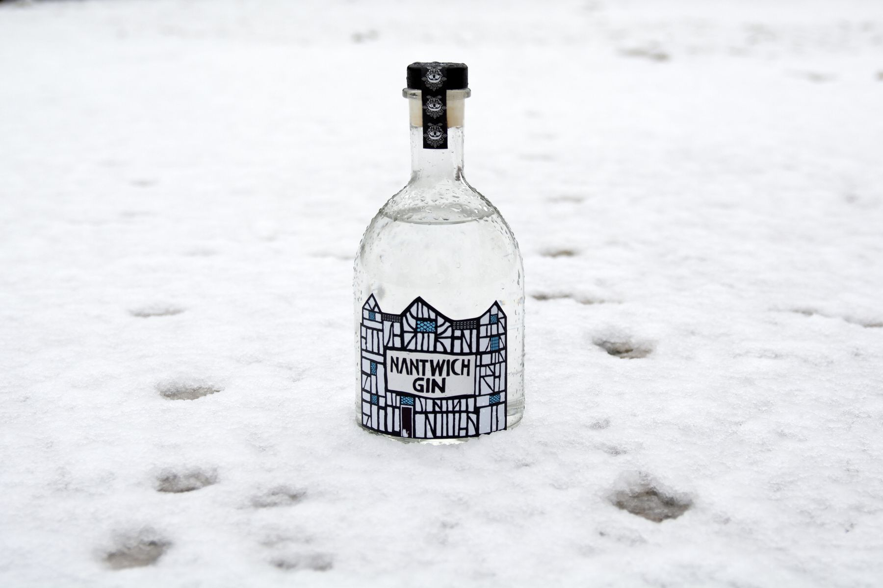 NG in the snow