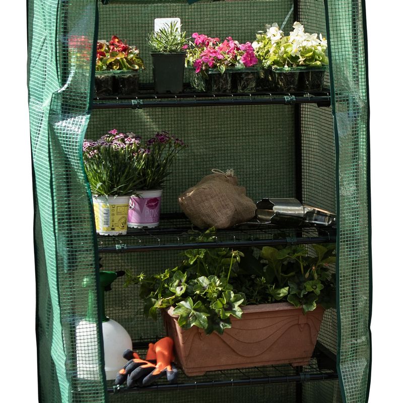 T&C 4 Tier Greenhouse