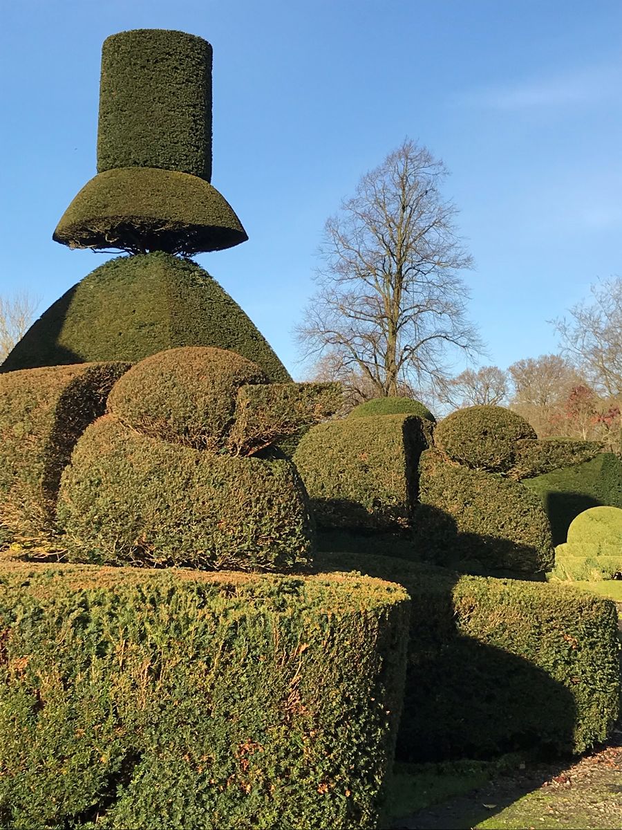 Topiary at Levens Hall, Cumbria, UK