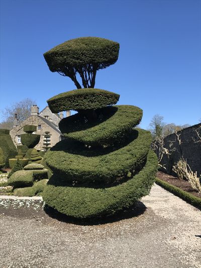 Topiary at Levens Hall, Cumbria, UK