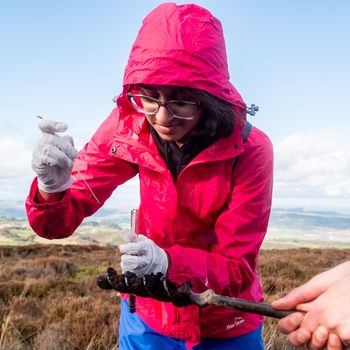 Field Studies Council supports Welsh schools with introduction of new geography GCSE.jpg