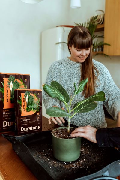 Houseplant_POS_Lifestyle-Image_1.jpg