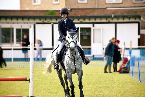 Dapple Grey - Show Jumping Arena