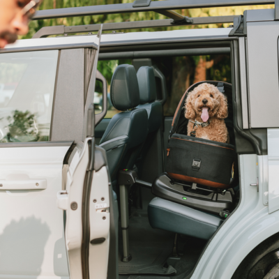 The award-winning Maeve 3-in-1 Pet Protection System redefines luxury and safety for pet travel. 