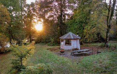 Treehouse Autumn005.jpg