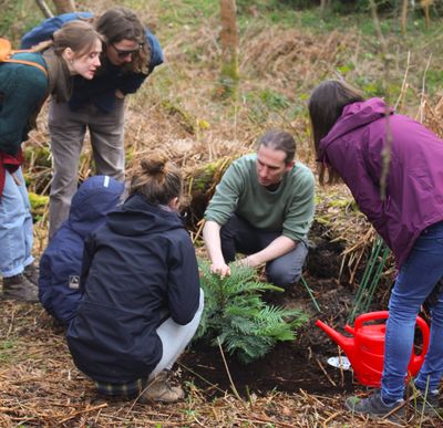Planting wollemi pine.jpg