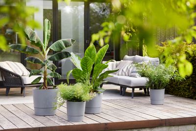 greensense aqua care