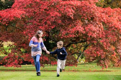 Autumn at Wakehurst, Ollie Dixon © RBG Kew (1).jpg