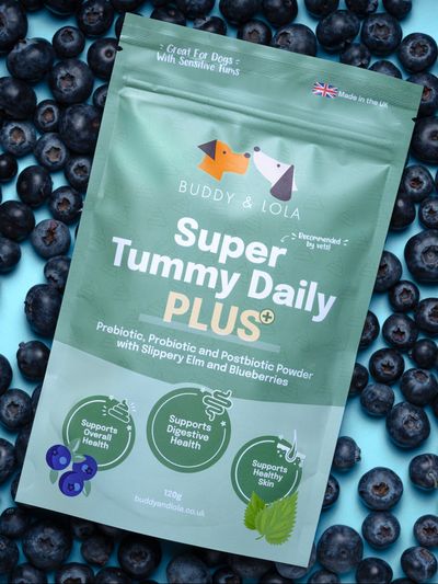Buddy & Lola - Super Tummy Daily Plus, Pre, Pro & Postbiotics for dogs 