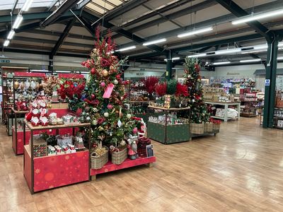 Hillier Garden Centres and Nurseries - Christmas 2024