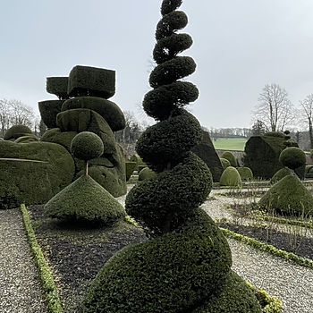 Topiary spiral in the topiary garden at Levens Hall and Gardens, Cumbria