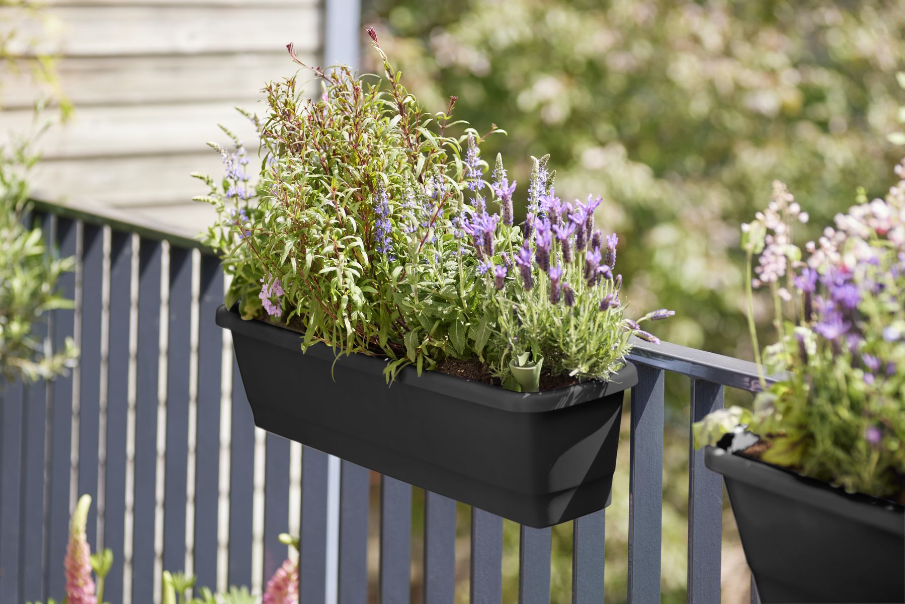 noa balcony trough living black