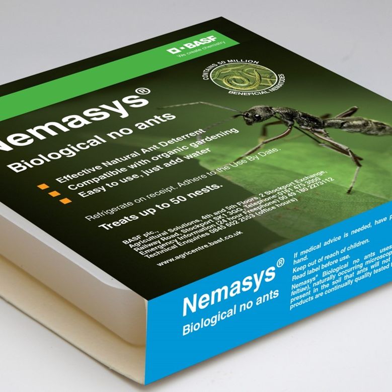 Nemasys Biological No Ants