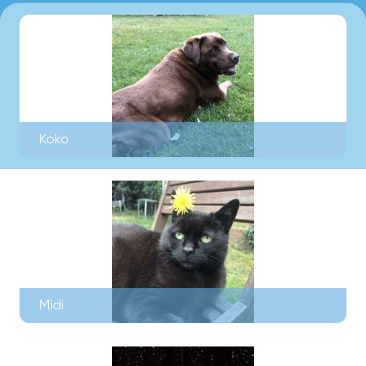 Screen from the PetPanion app