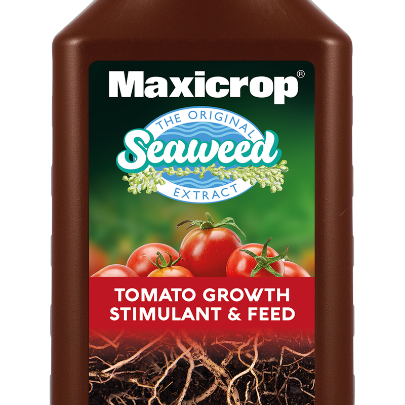Maxicrop Tomato Growth Stimulant and Feed